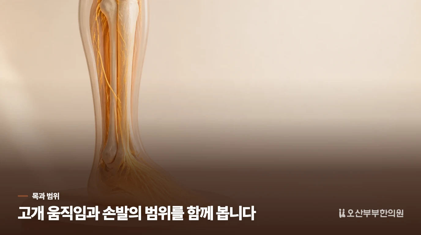 고개를 움직일 때 팔 저림이 달라지나요