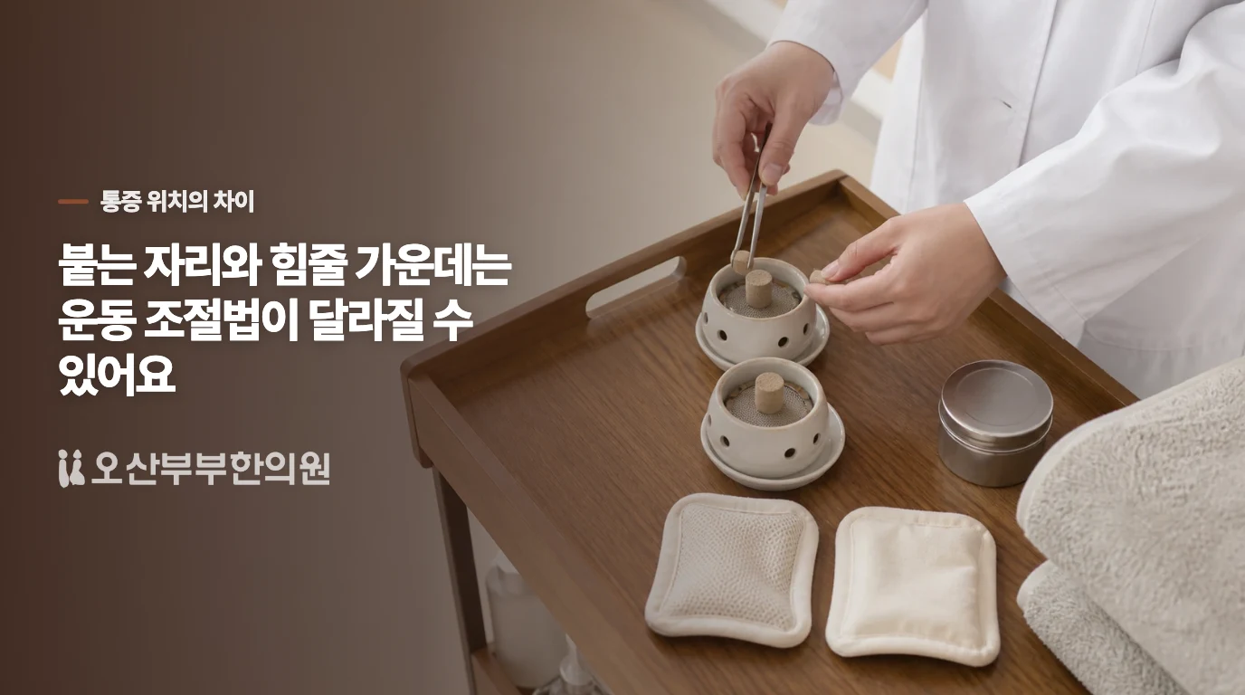 뒤꿈치에 붙는 자리와 힘줄 가운데는 다르게 봅니다