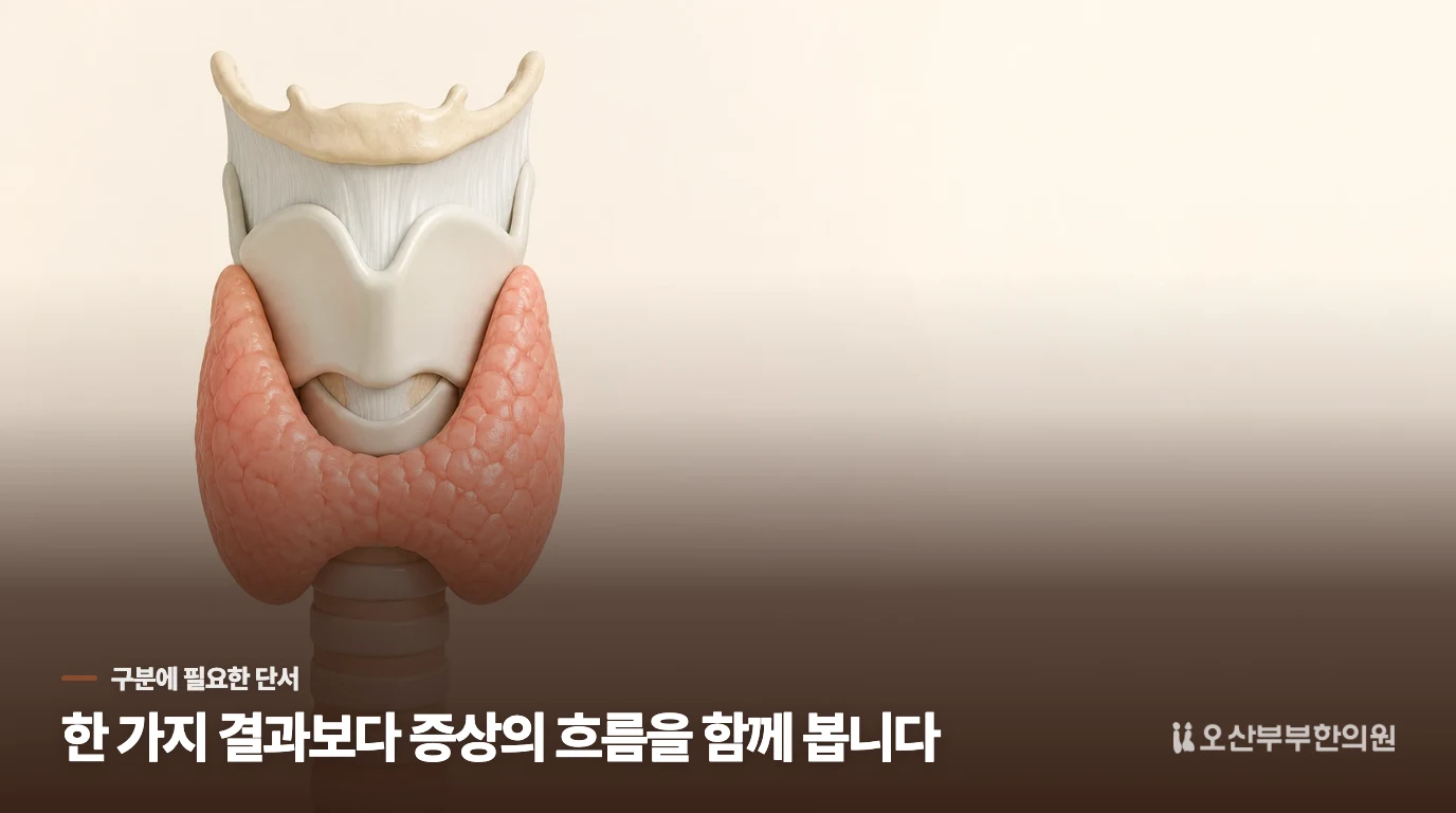목에 혹이 없으면 갑상선은 괜찮은 걸까요?