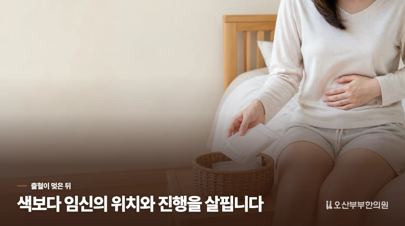 갈색 피가 멎어도 임신 상태는 따로 살펴야 합니다