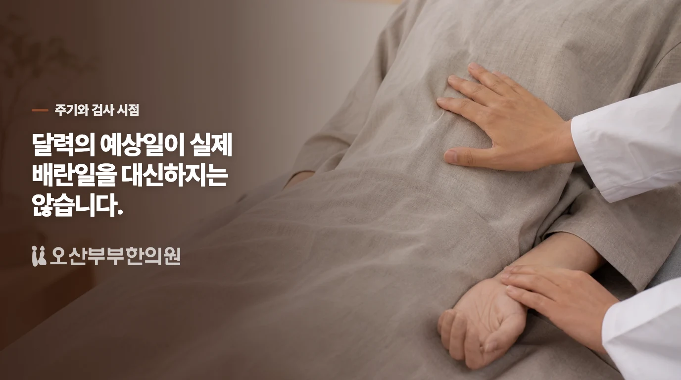 긴 주기에서는 예상 배란일과 실제 시점이 달라집니다