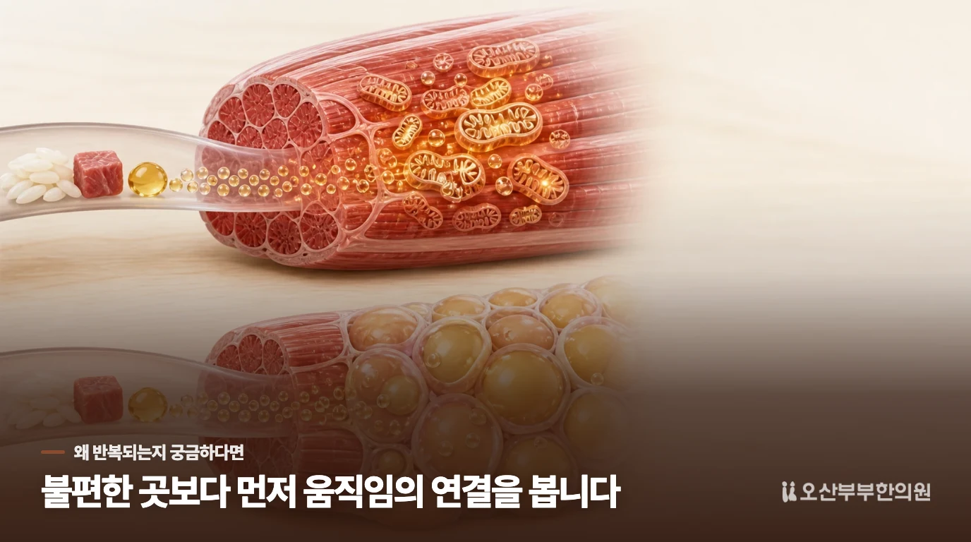 다른 사람의 방법을 따라 하기 전에 바꿀 판단