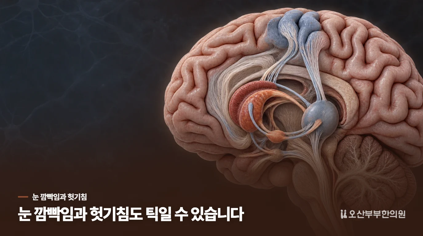 눈 깜빡임과 헛기침은 틱에서 어떻게 나타날까요?