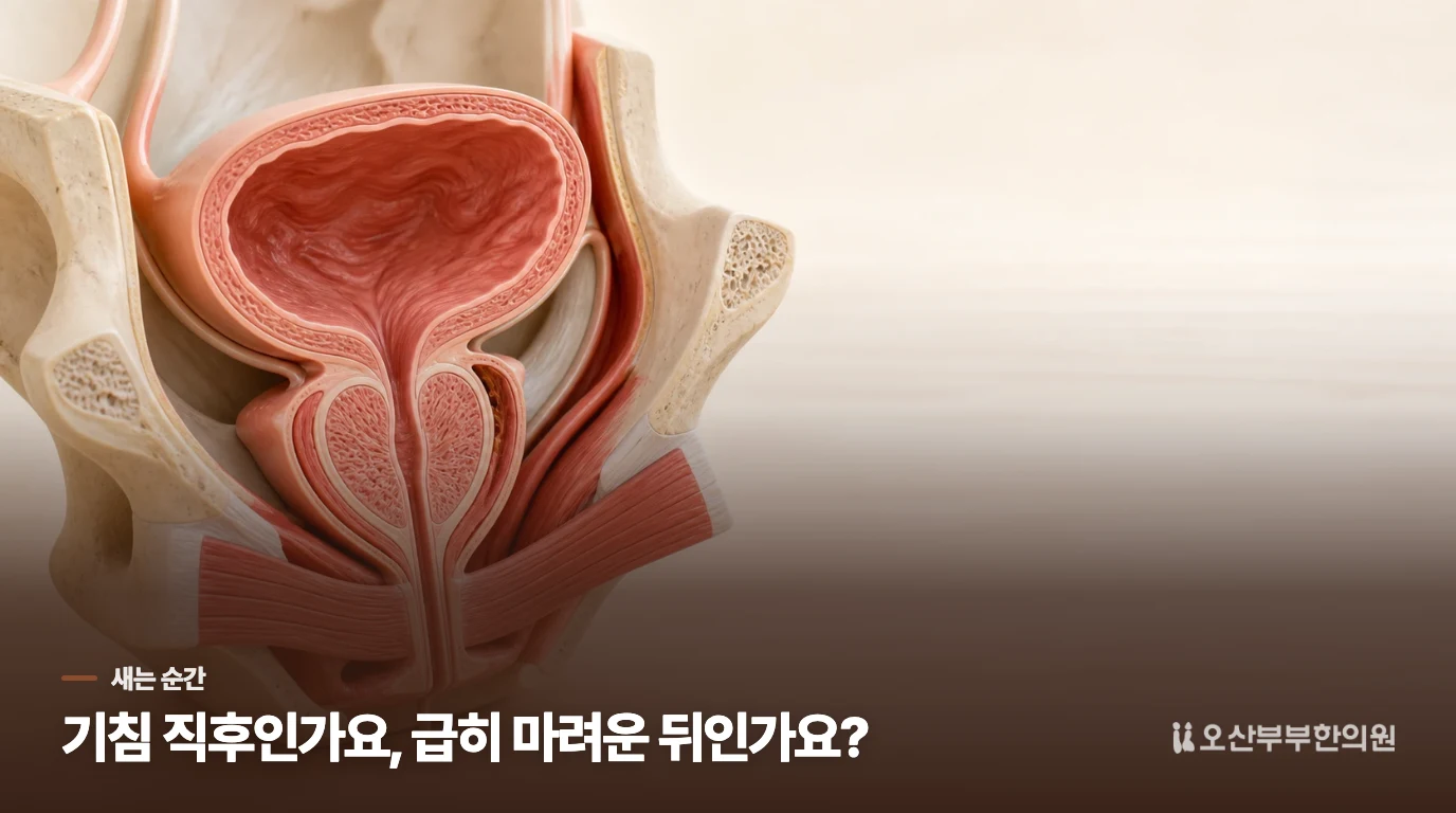 기침이 걱정돼 패드를 챙겼는데, 화장실 가는 길에도 샌다면