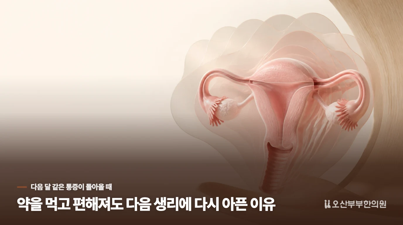 약을 먹고 편해져도 다음 생리에 다시 아픈 이유