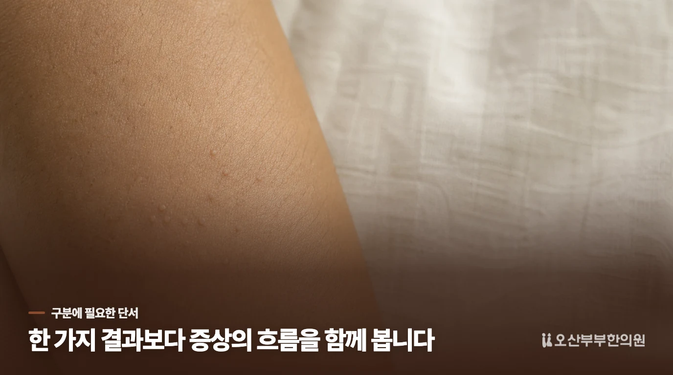 면도 뒤 비슷한 돌기가 줄지 않고 늘었다면