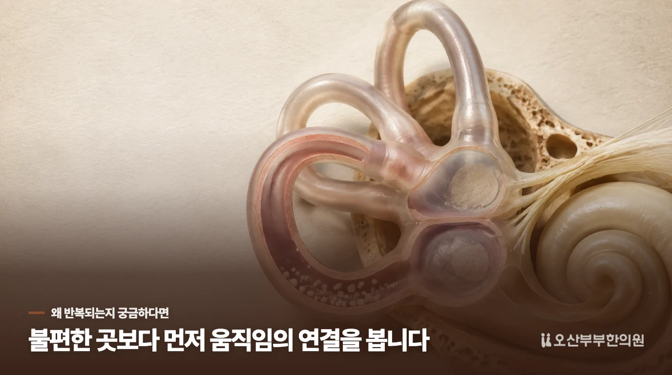 돌아누운 직후, 짧게 도는 이유