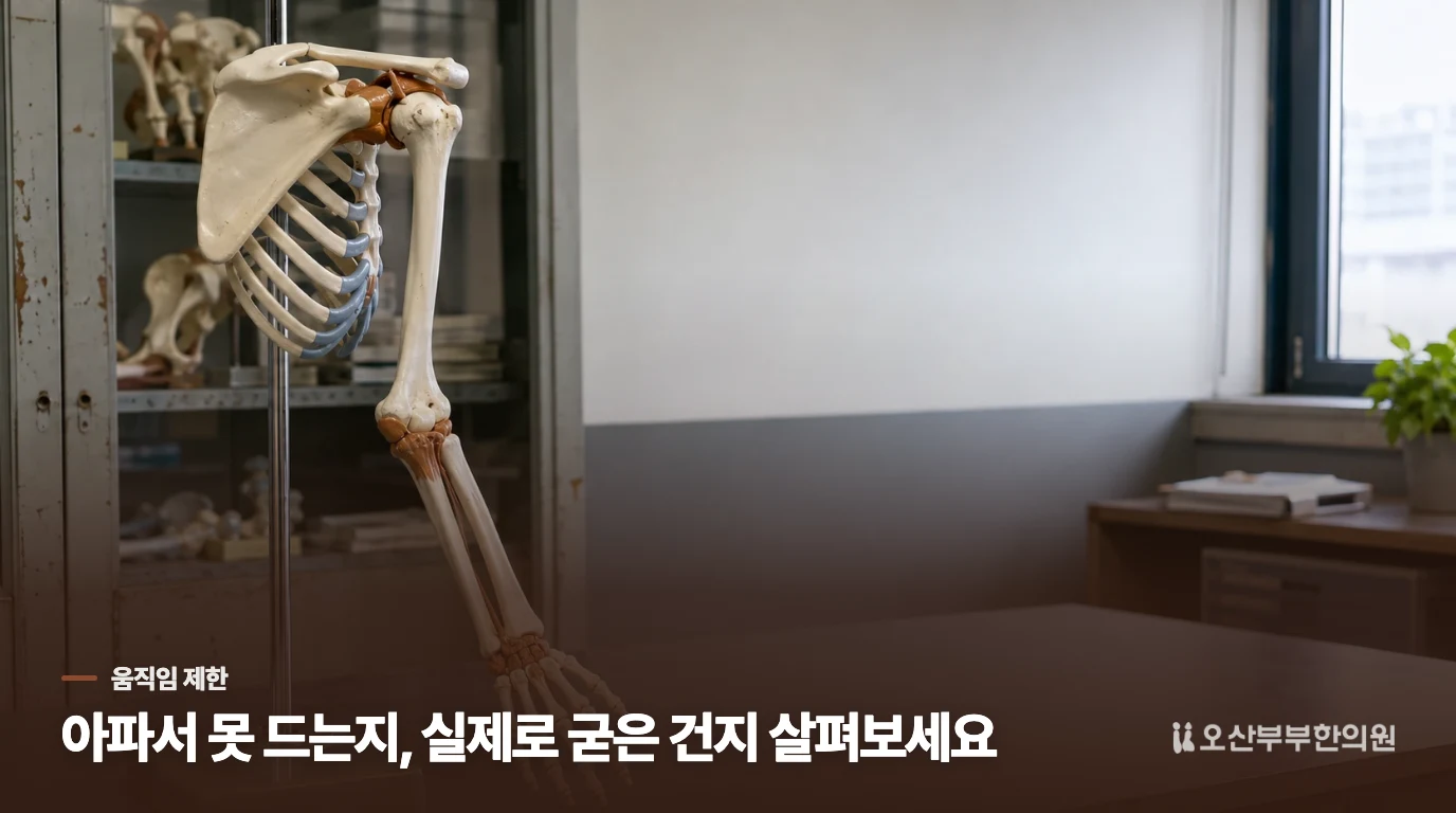 팔을 못 드는 이유가 통증만은 아닐 수 있습니다