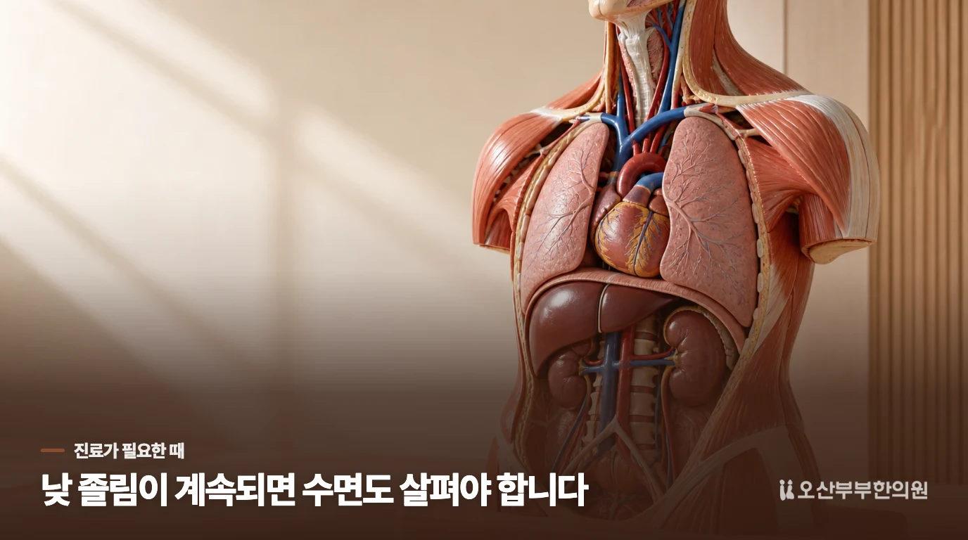 잠을 자도 낮 졸림이 계속되면 원인 평가가 먼저입니다