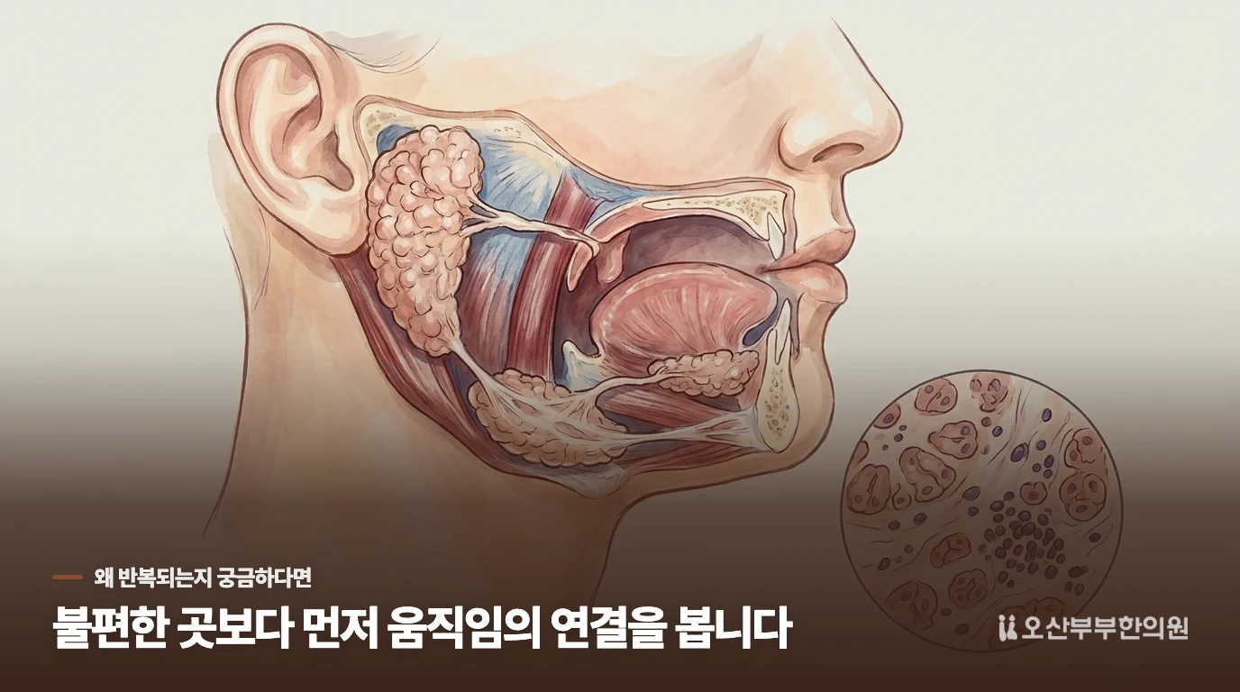 왜 물을 마셔도 혀의 홈은 그대로일까요?