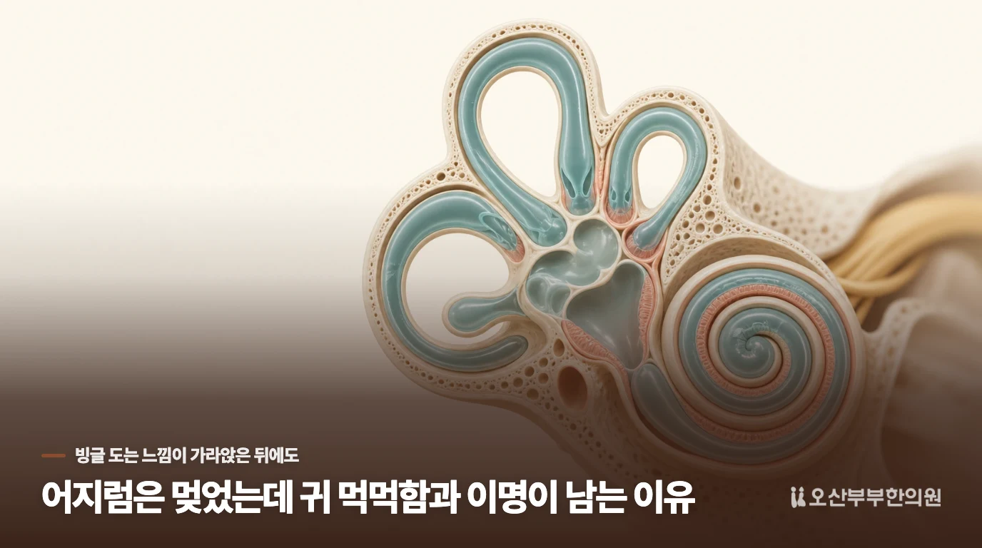 어지럼은 멎었는데 귀 먹먹함과 이명이 남는 이유
