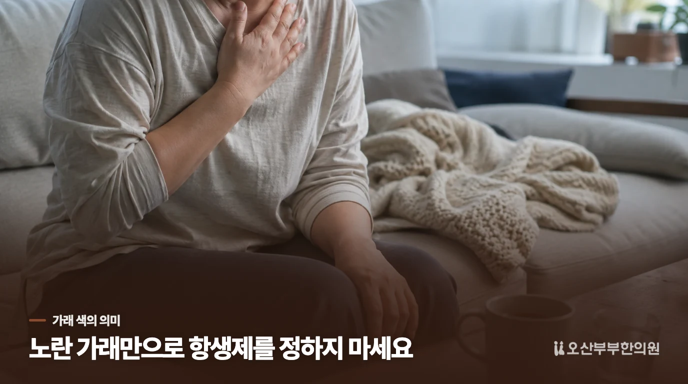가래 색이 노랗거나 초록색이면 항생제가 필요한가요?