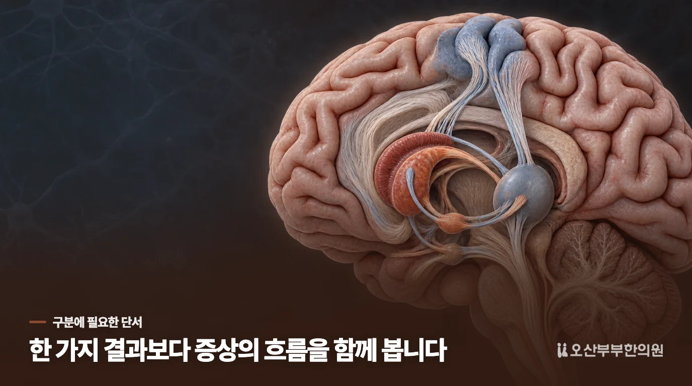 불을 끄면 더 자주 보이는 움직임