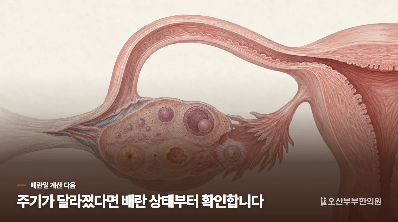 배란일을 맞췄는데도 임신이 되지 않는다면