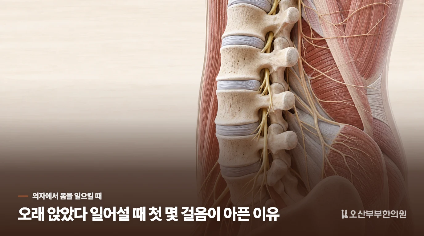 오래 앉았다 일어설 때 첫 몇 걸음이 아픈 이유
