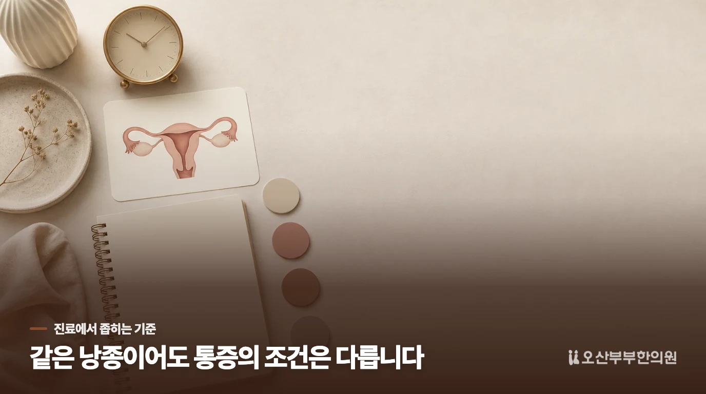진료에서는 통증이 생긴 시점과 초음파 소견을 같이 봅니다