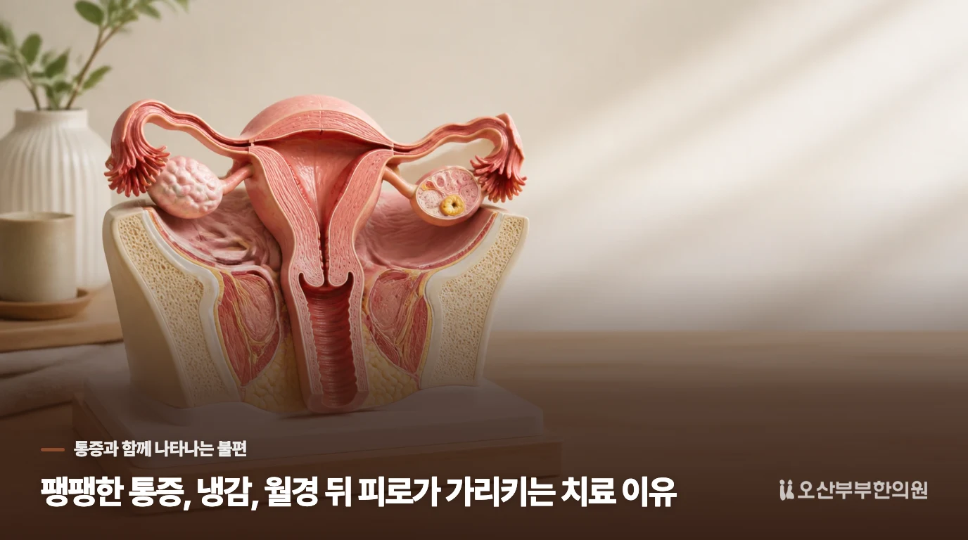 팽팽한 통증, 냉감, 월경 뒤 피로가 가리키는 치료 이유
