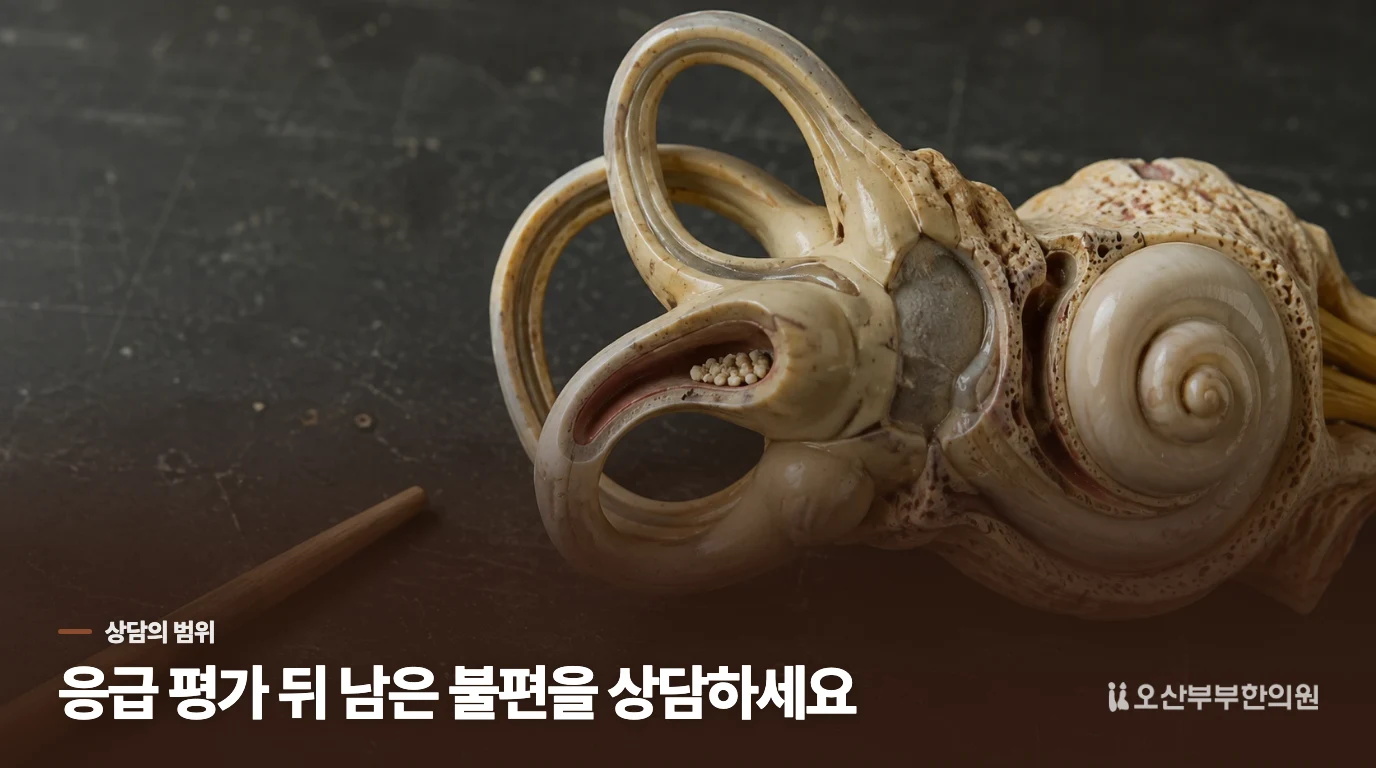 응급 평가 뒤 한의 진료는 무엇을 다룰까요?