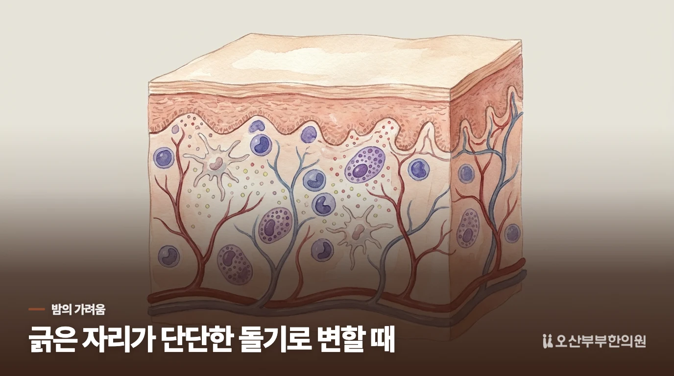 잠들기 전 자꾸 긁는 자리에 돌기가 생깁니다