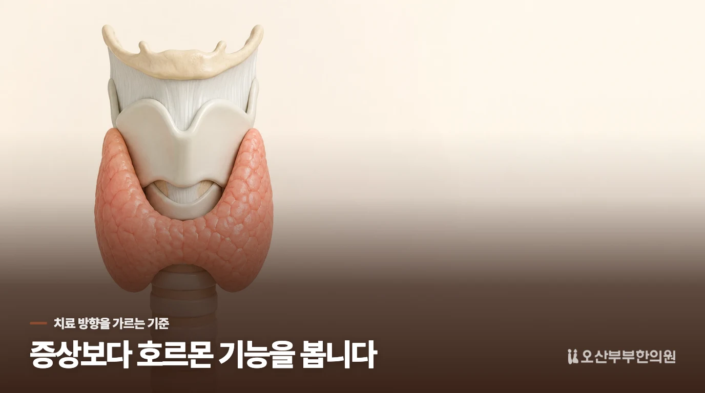 갑상선치료는 증상보다 호르몬 기능을 보고 정합니다