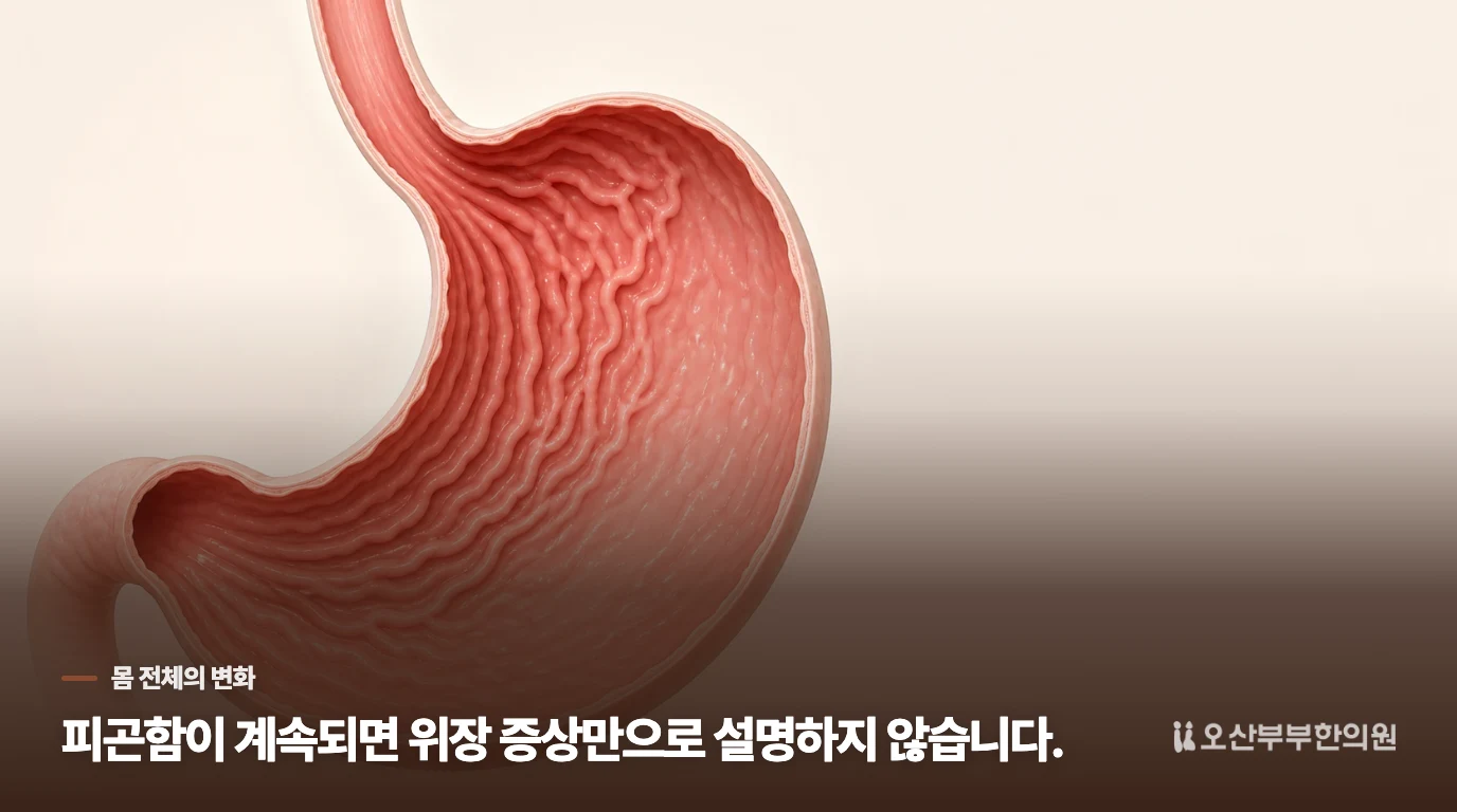 피곤함과 어지럼은 위 불편과 따로 살펴야 합니다