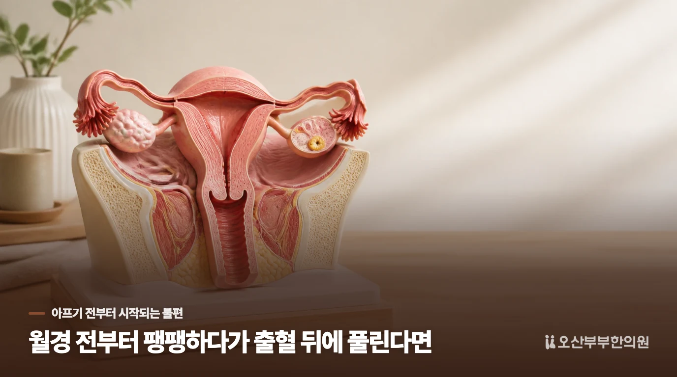 월경 전부터 팽팽하다가 출혈 뒤에 풀린다면