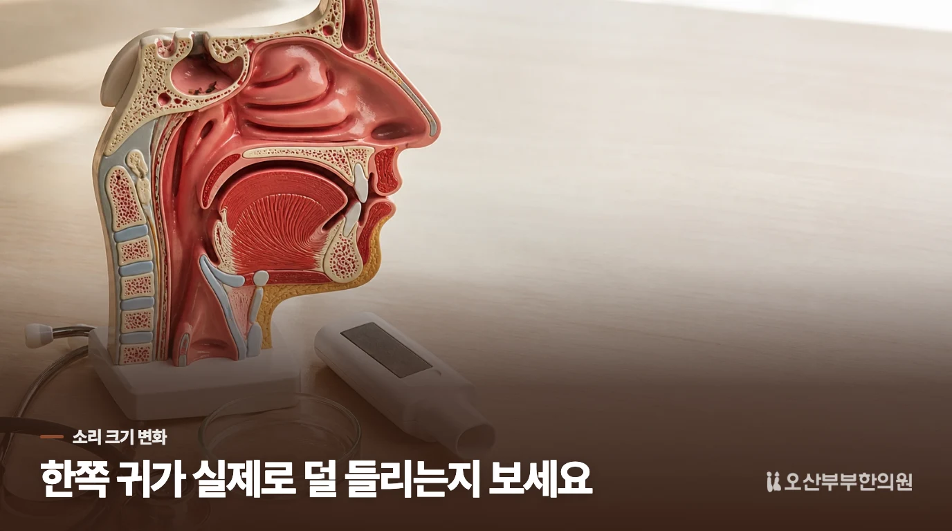 이명보다 한쪽 소리 크기 변화를 살펴야 하는 이유