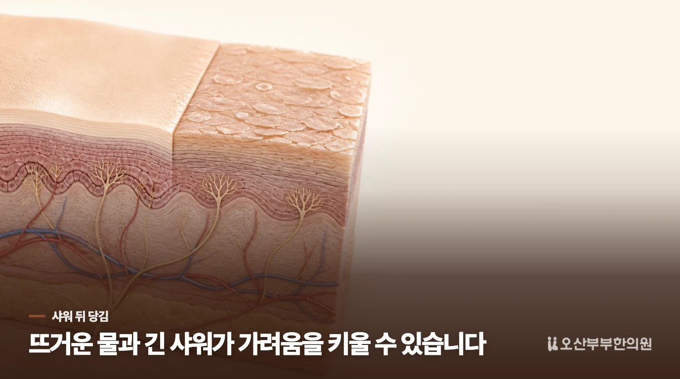 샤워가 끝난 뒤 더 가려운 이유는 씻는 자극에 있습니다